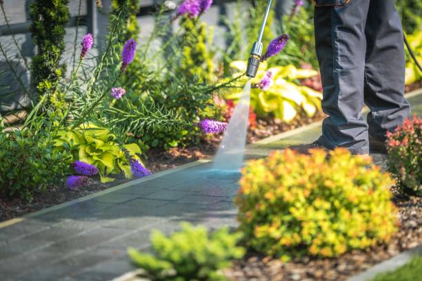 Best Winterizing Services  in Canadian, TX